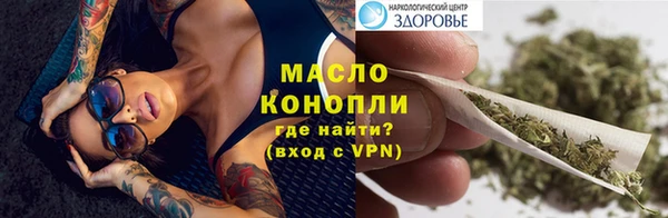 индика Лабытнанги