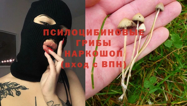 apvp Ладушкин