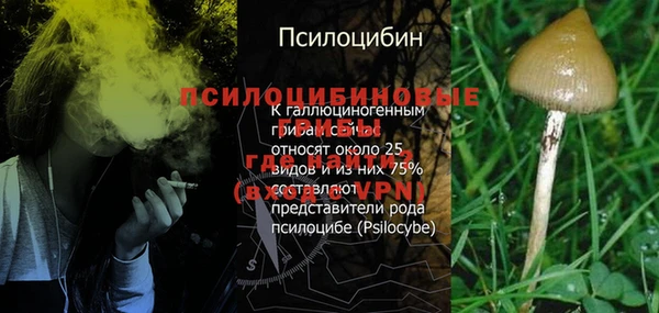 прущая мука Лагань