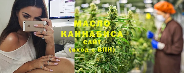индика Лабытнанги