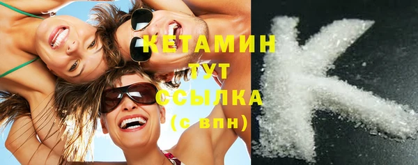 индика Лабытнанги