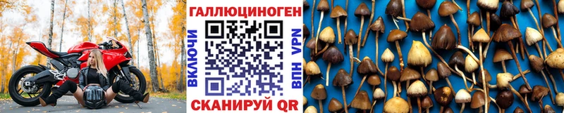 продажа наркотиков  Суровикино  Галлюциногенные грибы прущие грибы 